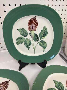 4 Vintage Taylor Smith and Taylor “Jack in the Pulpit” Dinner Plates 1950s VGC